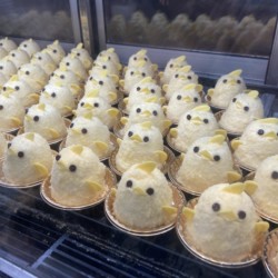 ショーケースにならんだぴよりん